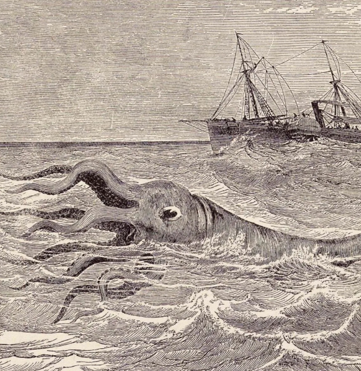 Морское чудовище Кракен. Гигантский кальмар.