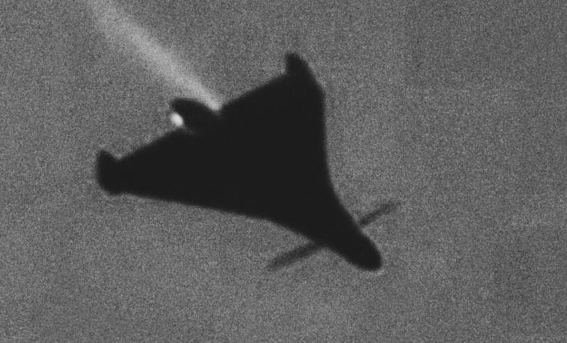 "Усатая" Герань-4.
